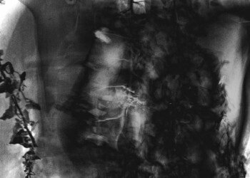 Steppe back, Impression jet d’encre sur papier bambou, 30×45 cm, Mai 2021, 5 exemplaires desordre