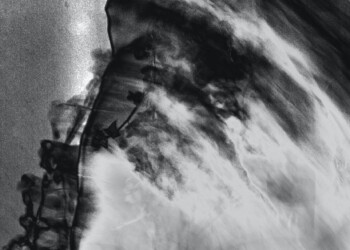 Sans titre, Photographie numérique, Mai 2021 desordre