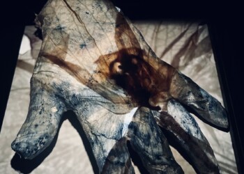 Expérimentations, Exposition sur moulage à l'agrandisseur, 2024 echos