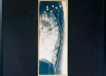 Sans titre, Technique mixte (cyanotype viré, peinture acrylique) sur papier aquarelle Arches grain fin 300g/m2, 30,5 X 41 cm (encadré), 2024, pièce unique ecumeDesJours