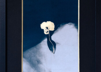 Sans titre, Technique mixte (cyanotype viré, peinture acrylique) sur papier aquarelle Arches grain fin 300g/m2, 26 X 32 cm (encadré), 2024, pièce unique ecumeDesJours