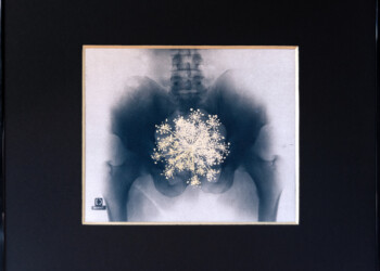 Sans titre, Technique mixte (cyanotype viré, peinture acrylique) sur papier aquarelle Arches grain fin 300g/m2, 51 X 41 cm (encadré), 2024, pièce unique ecumeDesJours
