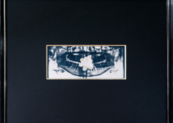 Sans titre, Technique mixte (cyanotype viré, peinture acrylique) sur papier aquarelle Arches grain fin 300g/m2, 53 X 43 cm (encadré), 2024, pièce unique ecumeDesJours